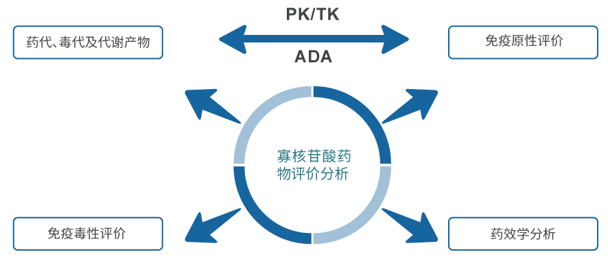 寡核苷酸药物评价剖析.jpg