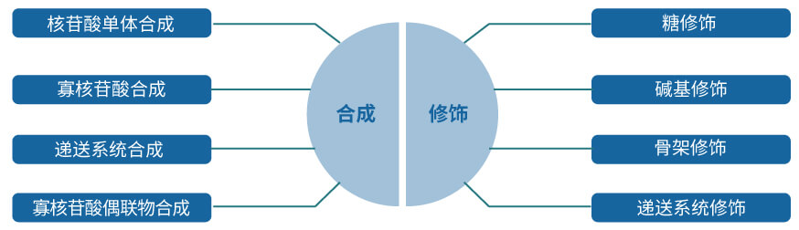 BBIN游戏核酸药物研发效劳平台.jpg