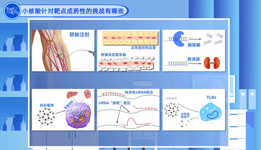 小核酸针对靶点成药性的挑战有哪些？？？？？？