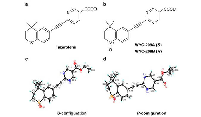 WYC-209可抑制恶性小鼠玄色素瘤肿瘤再生细胞增殖，，，，，，本研究中SPR通过BBIN游戏使用Biacore 8K举行