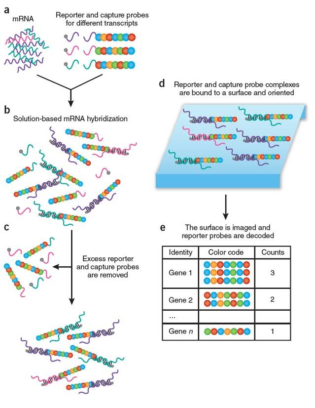 3-NanoString手艺原理.png