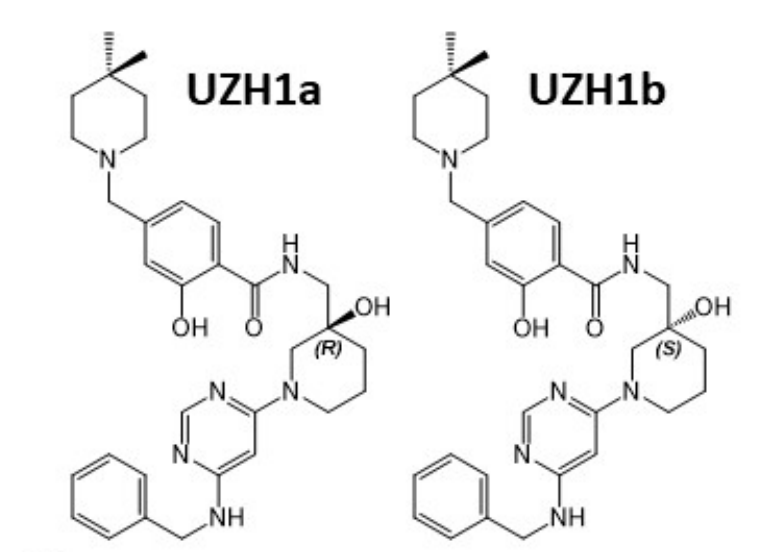 研究职员报告了一种具有细胞渗透性的选择性METTL3纳摩尔抑制剂UZH1a，，，，，，作者谢谢BBIN游戏合成了UZH1a和UZH1b