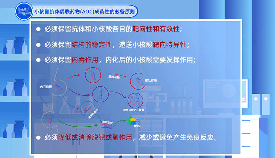 小核酸抗体偶联药物（AOC）成药性的必备原则？？？？？？