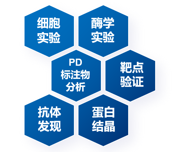 生物效劳内容.jpg