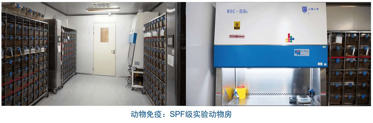BBIN游戏杂交瘤手艺平台装备-动物免疫SPF级实验动物房
