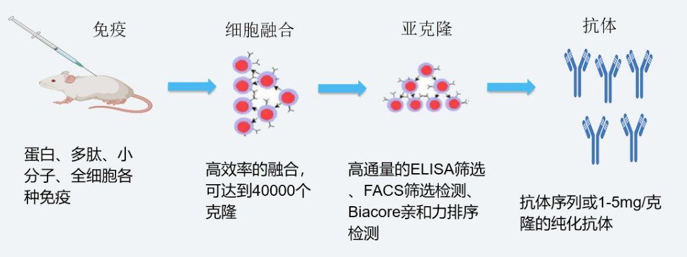 BBIN游戏杂交瘤手艺平台开发流程