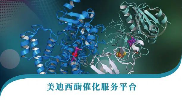 BBIN游戏酶催化效劳平台.jpg