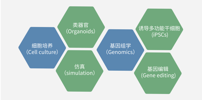 六大手艺板块已上线，，一连升级中.jpg