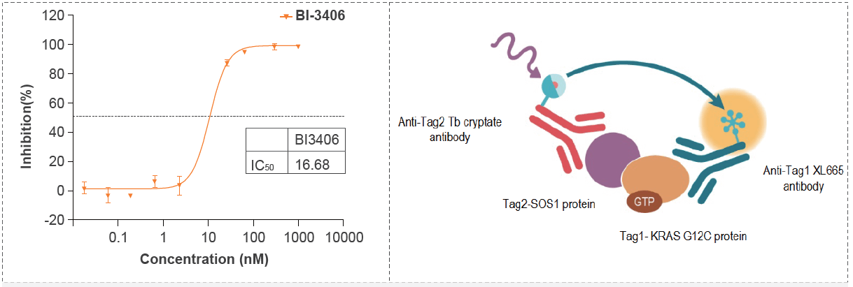 Kras G12C-SOS1连系的IC50活性测试筛选试验化合物.png