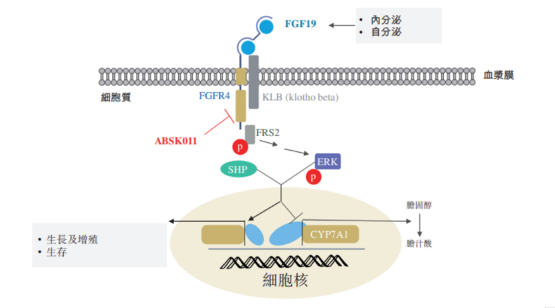 图源：果真资料.jpg