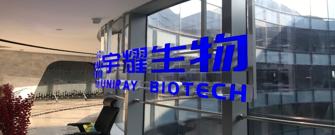 BBIN游戏助力 | 宇耀生物STAT3双磷酸化位点抑制剂YY201乐成完成中美双报
