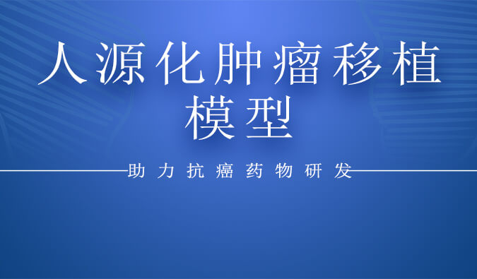 人源化肿瘤移植模子.jpg