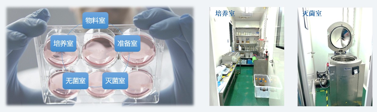 微生物实验室-作育室和灭菌室.jpg