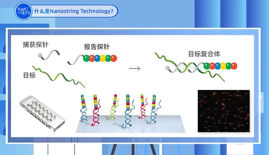 什么是Nanostring 手艺？？？？？