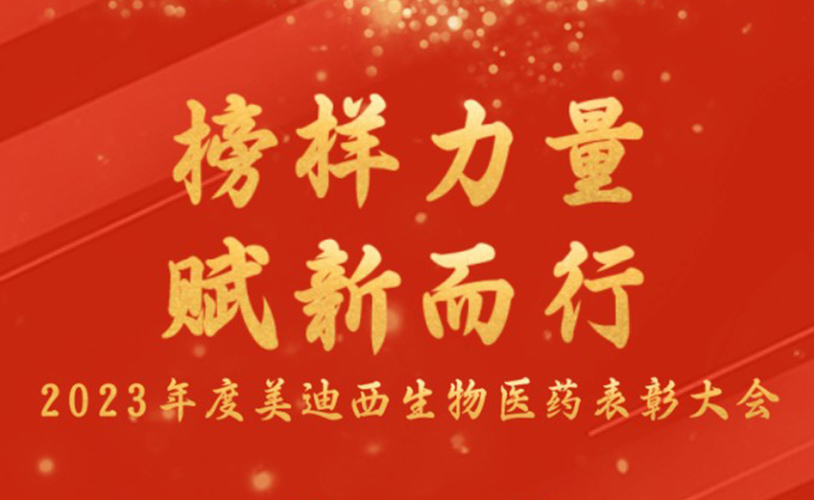 员工运动_入职迎新会_职工运动会-BBIN游戏生物医药