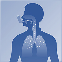 吸入制剂体外评价平台_吸入制剂体外评估_吸入制剂评价-BBIN游戏生物医药