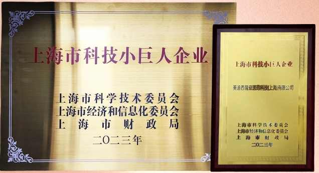 科技立异，，，，权威再证！BBIN游戏获“2023年上海市科技小巨人企业”授牌