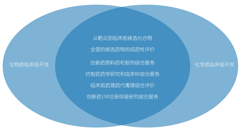 BBIN游戏生物药物研发和化学药物研发.jpg