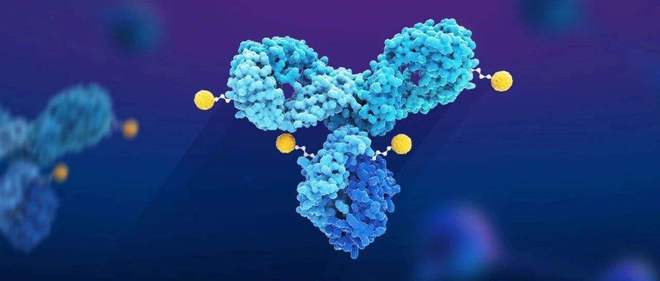 天下肿瘤日聚焦：AACR年会引领全球肿瘤新药趋势，，，，国产药引领风潮