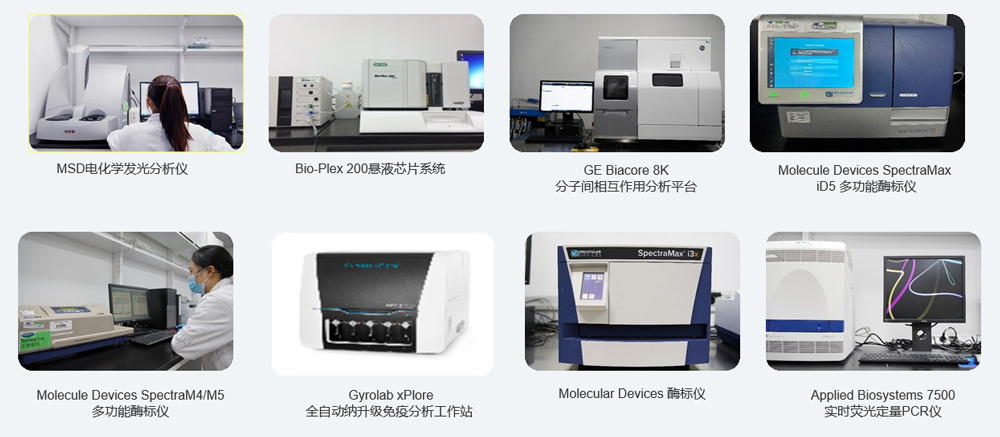大动物药效实验剖析装备.jpg