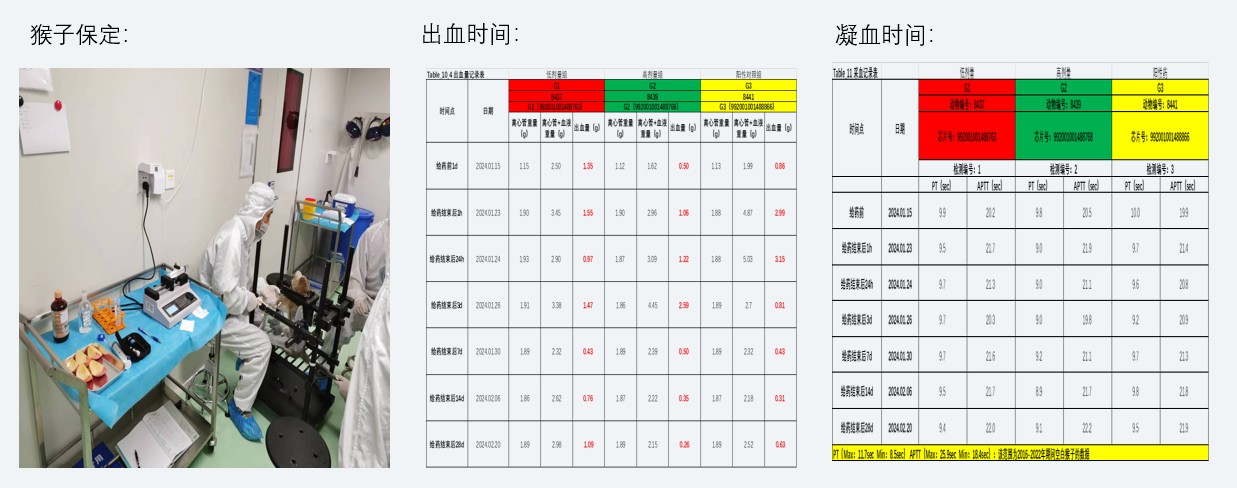 案例2：小分子抗凝药对食蟹猴出凝血功效影响.jpg