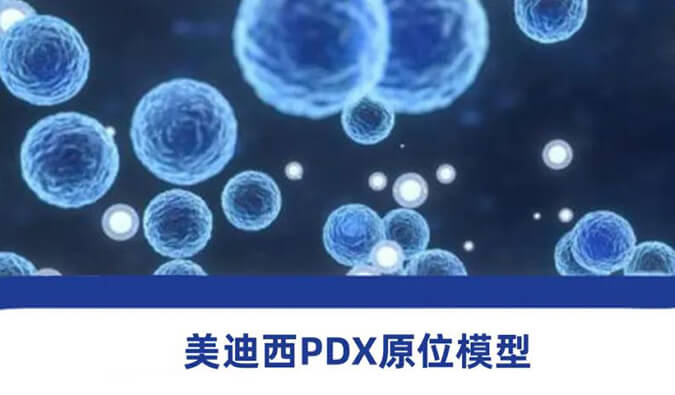 BBIN游戏PDX模子.jpg