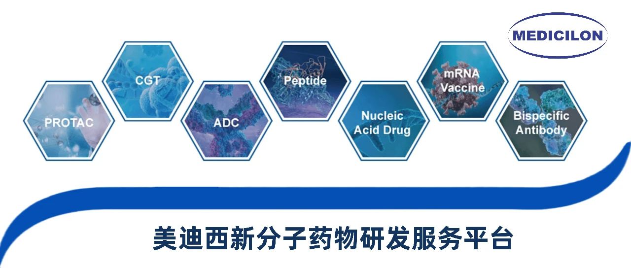 BBIN游戏新分子类型药物研发效劳平台