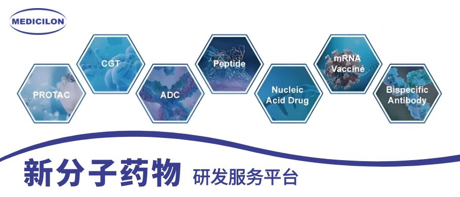 BBIN游戏新分子药物研发效劳平台