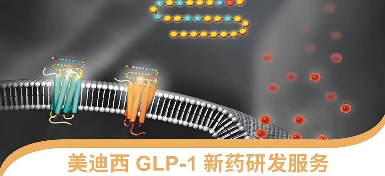 70.5%的成人正在悄悄长胖！国家卫健委“减肥令”下，，，，，GLP-1药物怎样突围？？