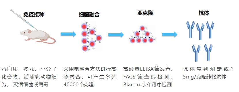 杂交瘤手艺.png